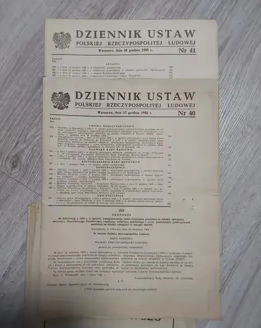 Dzienniki Ustaw z 1988r — praca twórcy Luce na Freshwall Marketplace