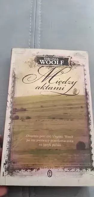 Między aktami. Wirginia woolf — praca twórcy Piotr na Freshwall Marketplace