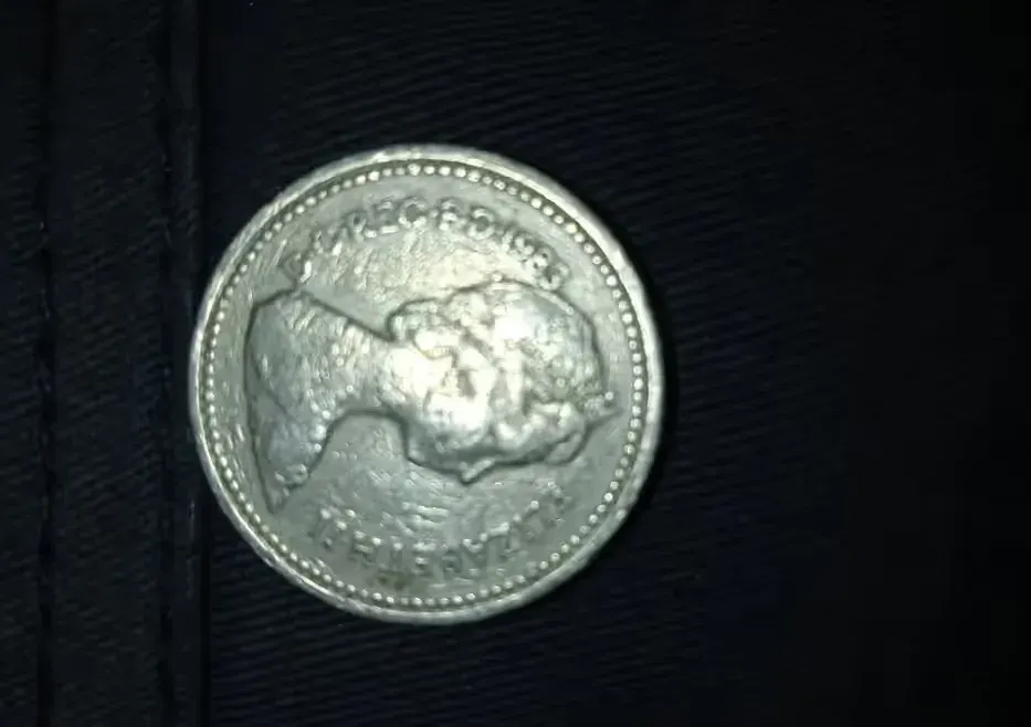 Moneta jeden funt ONE POUND Elizabeth II — praca twórcy Ana na Freshwall Marketplace