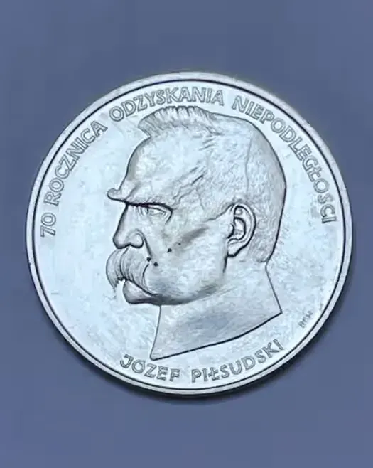 Moneta srebrna 50 000 (PIŁSUDSKI) - 1988 rok — praca twórcy MARIUSZ na Freshwall Marketplace