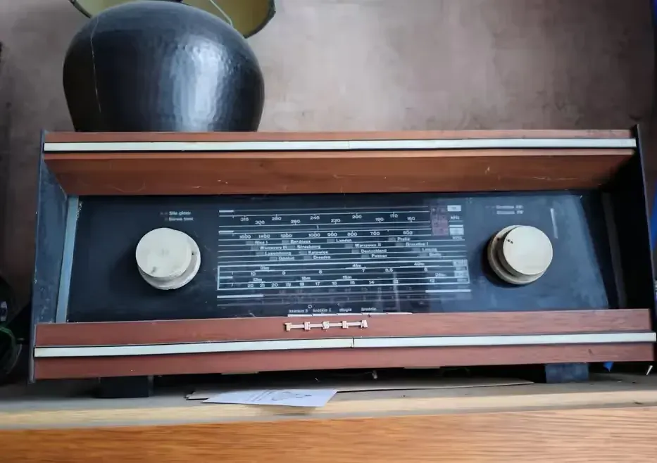 Radio Diora Tesla inne rzeczy — praca twórcy Tomek na Freshwall Marketplace