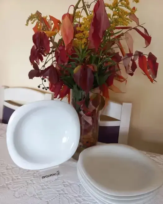 Talerze Rosenthal, linia Suomi, 6 szt. — praca twórcy Patrycja na Freshwall Marketplace