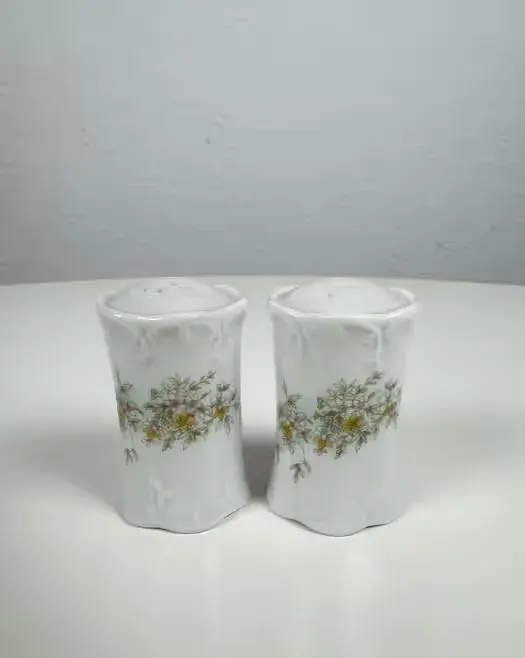 Przyprawniki sól pieprz Rosenthal Monbijou — praca twórcy Mateusz na Freshwall Marketplace