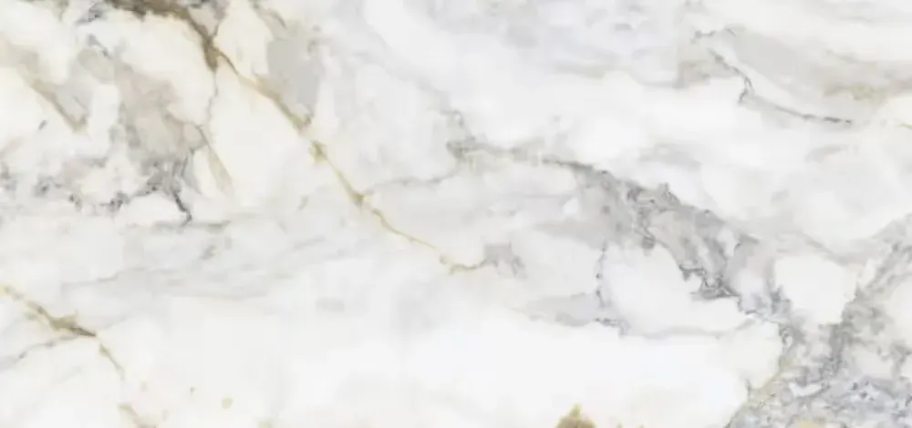 20x Płytka gresowa Pamesa Pisa Gold mat 60x120 — praca twórcy Ivetta na Freshwall Marketplace