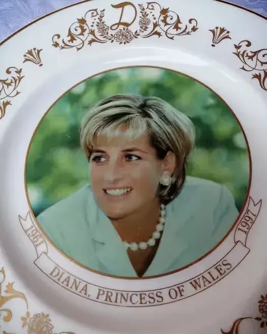 Diana princessa talerz kolekcjonerski — praca twórcy Hania na Freshwall Marketplace