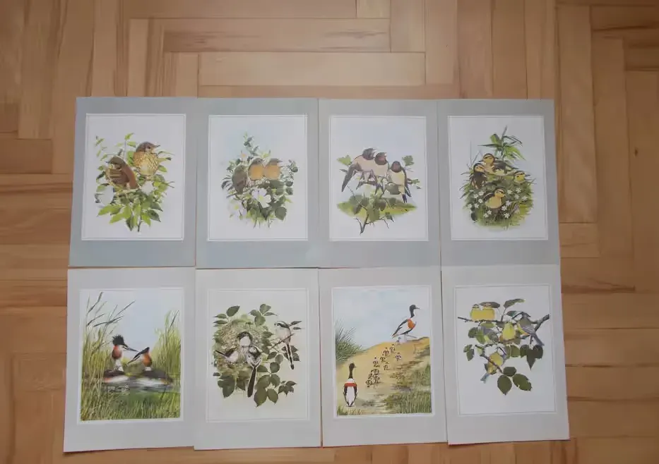 Grafika vintage, 8 dekoracyjnych plansz tematyka ornitologiczna Anglia — praca twórcy Ludwika na Freshwall Marketplace