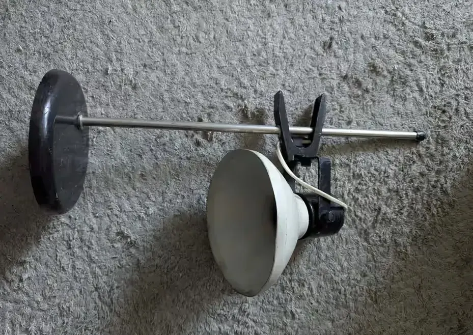 Lampka polam bez kabla — praca twórcy Magdalena na Freshwall Marketplace