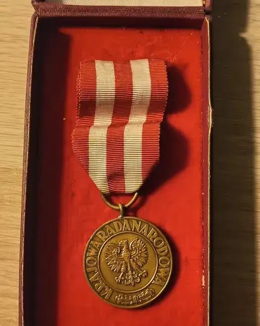 Medal zwycięstwa i wolności 1945 — praca twórcy Igor na Freshwall Marketplace
