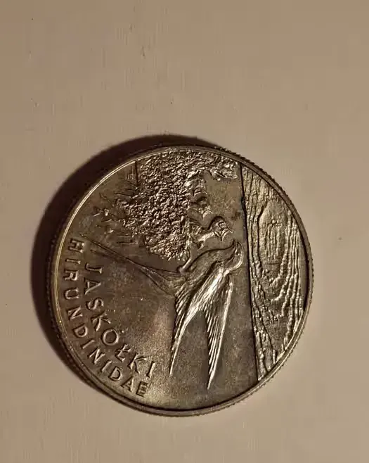 Moneta 20000 zł Jaskółki 1993r — praca twórcy Kuba na Freshwall Marketplace