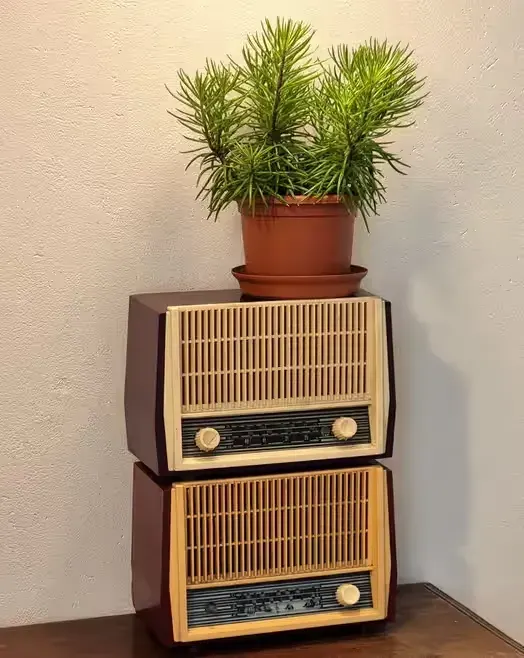 radio Figaro 3291, ZRK, stare radio — praca twórcy Ornament na Freshwall Marketplace