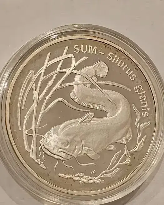 Sum 1995 r. 20 zł — praca twórcy Marzena na Freshwall Marketplace