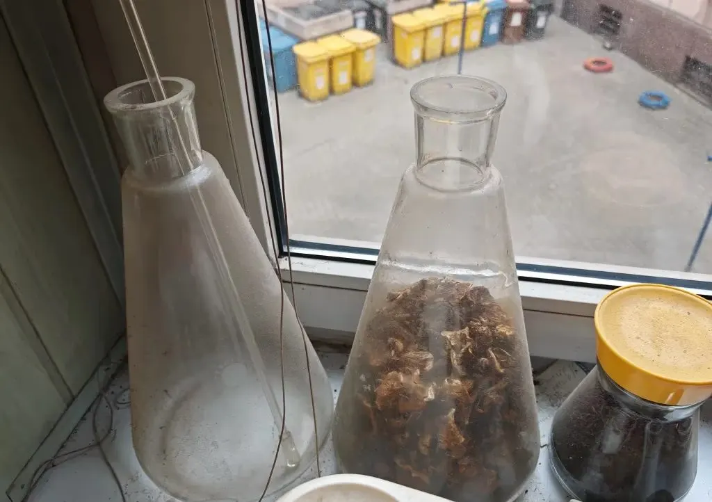 Kolby chemiczne szklane wysokie do laboratorium dekoracyjne laboratoryjne kolba Poznań Stare Miasto — praca twórcy Dorota T. na Freshwall Marketplace
