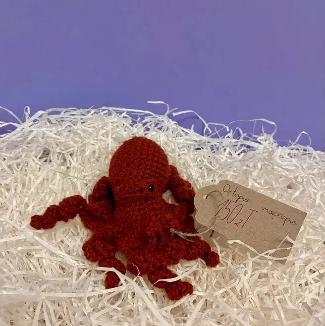 Ośmiornica amigurumi| szydełkowe rękodzieło| sprzedaż charytatywna — praca twórcy Barbara D. na Freshwall Marketplace