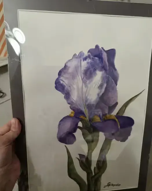 Obraz irys akwarela 30x40 — praca twórcy Marzena na Freshwall Marketplace