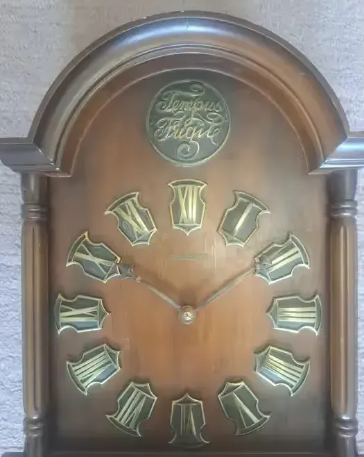 Zegar wiszący Tempus Fugit — praca twórcy Artur na Freshwall Marketplace