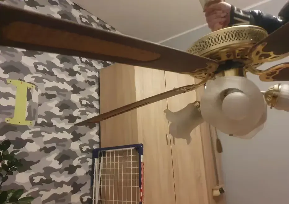 Lampa z wentylatorem — praca twórcy nanadawid7 na Freshwall Marketplace