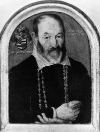 Portrait of a Man of the Moncheaux Family — Northern French Painter — ujęcie 2