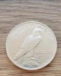 1 Dolar Pokoju 1923 r. Oryginał w bardzo dobrym stanie — ujęcie 2