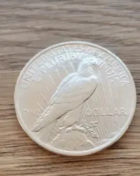 1 Dolar Pokoju 1923 r. Oryginał w bardzo dobrym stanie — ujęcie 5