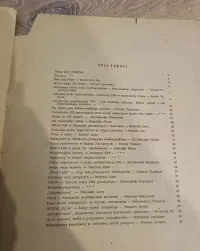 100000 peperowców w Wielkopolsce — ujęcie 5