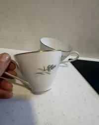 2 filiżanki Rosenthal Bettina — ujęcie 3