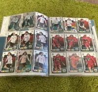 Album panini Euro 2012 — ujęcie 4