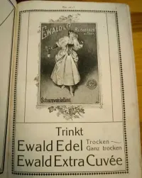 Antykwaryczna książka biograficzna Wer ist's? V. Ausgabe 1911 — ujęcie 3