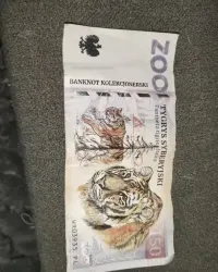 Banknot kolekcjonerski z Tygrysem Syberyjskim — ujęcie 3