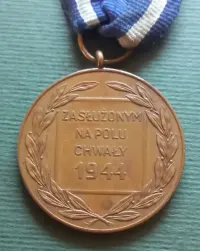Brązowy medal "Zasłużonym na Polu Chwały" — ujęcie 5