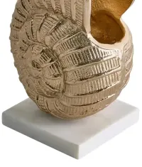 Figurka dekoracyjna Muszla Metal Złoty — ujęcie 3