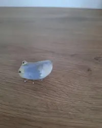 Gembug Genuine British Fossils Gemstone Agat kamień Robak figurka — ujęcie 3