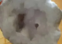 Geoda kwarcowa mineral — ujęcie 3
