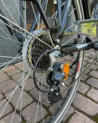 Indiana X-road 1.0 — ujęcie 4