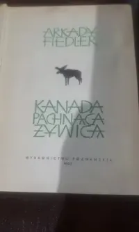 Kanada pachnaca zywica — ujęcie 2
