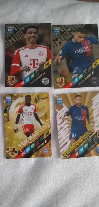 Karty piłkarskie 2024 panini — ujęcie 2