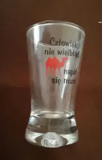 Kieliszki do wódki. — ujęcie 4