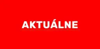 kolekcjonerskie poroża wieniec jelenia rogi PRL vintage — ujęcie 2