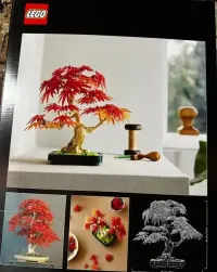 LEGO botanicals 10348 — ujęcie 2