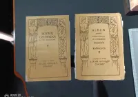 Lekarz Ratujący Zdrowie 1-2 Tomy Stara książka medyczna — ujęcie 5