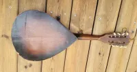 Mandolina     , mandolinka — ujęcie 2