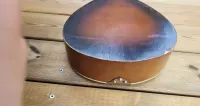 Mandolina     , mandolinka — ujęcie 3