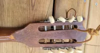 Mandolina     , mandolinka — ujęcie 5