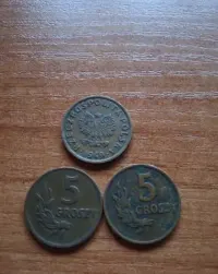 Moneta 5 groszy 1949r(3sztuki) — ujęcie 2