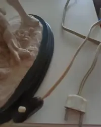 Myśliwska lampa stołowa, w stylu retro/vintage — ujęcie 3