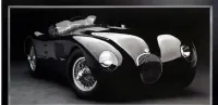 Obraz Jaguar C-TYPE, 1951 Kler — ujęcie 3