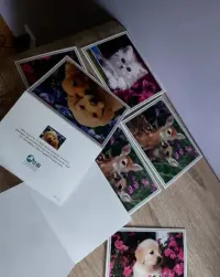 Obrazki/pocztówki/kartki kolekcjonerskie ze zwierzętami — ujęcie 4