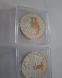 Oficjalne Srebrne Monety Mistrzostw Świata w Brazylii 2014 — ujęcie 3