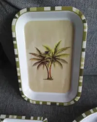 Okazja! Plastikowe Talerze motyw palm / piknik grill — ujęcie 3