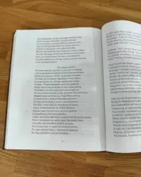 Pan Tadeusz kolekcjonerskie wydanie 1982 rok — ujęcie 5