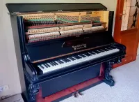 Pianino MANNSFEDT& NOTIN  Instrument kolekcjonerski — ujęcie 3